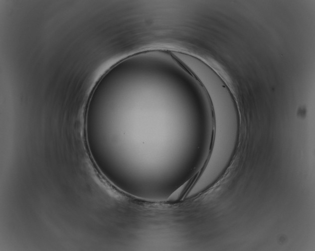 X0000090970862200708241314