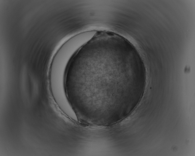 X0000090970864200708241314