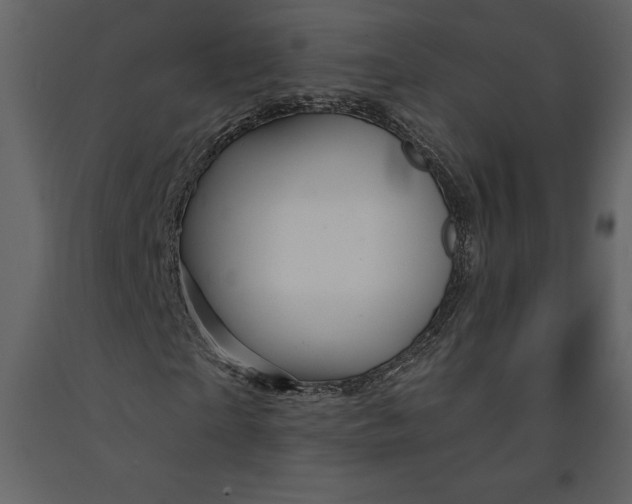 X0000090970865200708241313