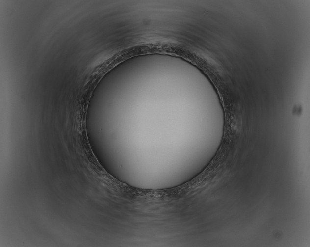 X0000090970869200708241313