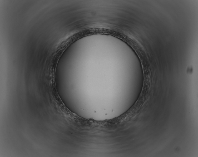 X0000090970870200708241313