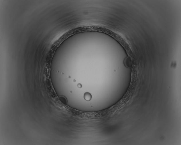 X0000090970871200708241313