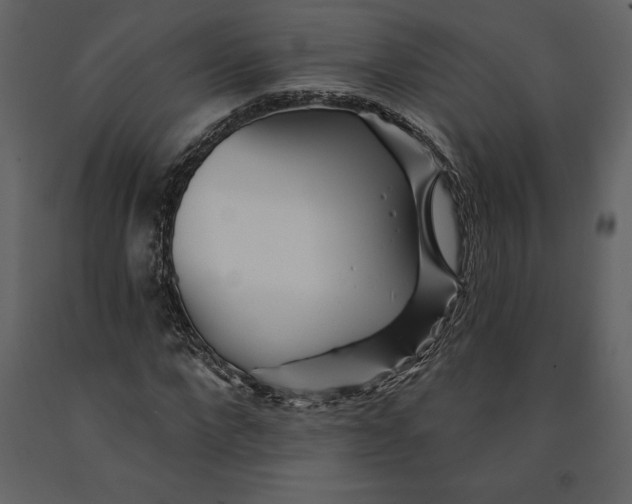 X0000090970872200708241313