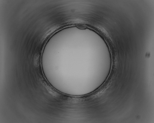 X0000090970873200708241313