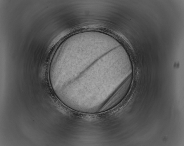 X0000090970874200708241313