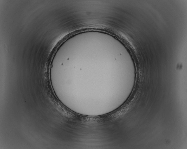 X0000090970875200708241313