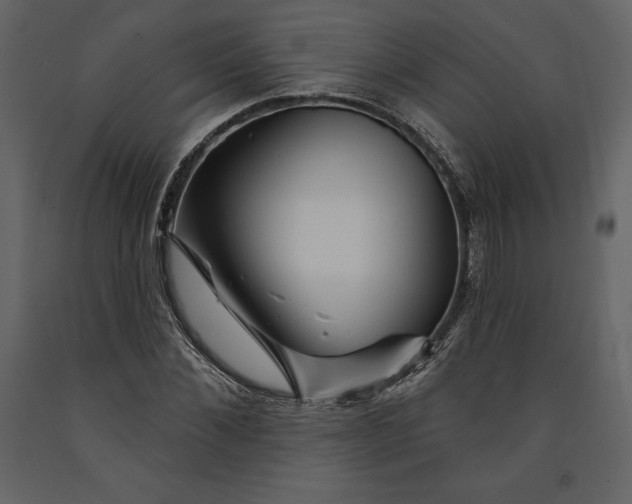 X0000090970876200708241313