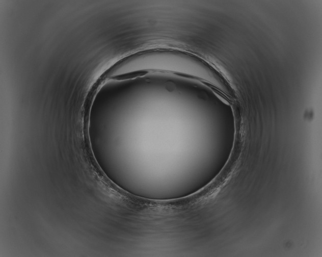 X0000090970877200708241313