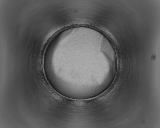 X0000090970878200708241313