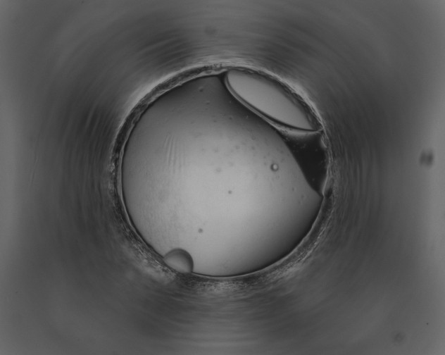 X0000090970879200708241313