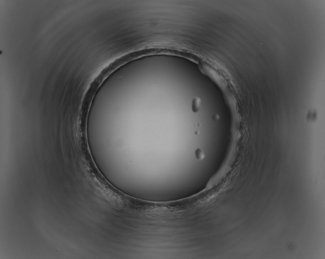 X0000090970880200708241313