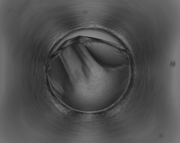 X0000090970881200708241313