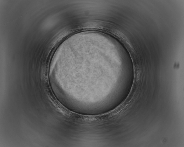 X0000090970882200708241313