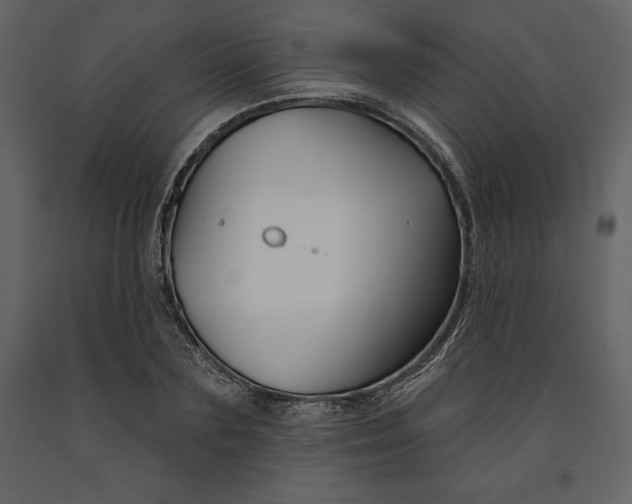 X0000090970883200708241313