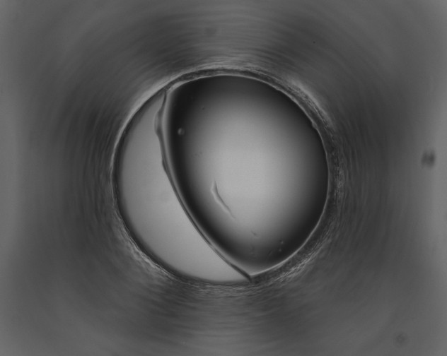 X0000090970884200708241313