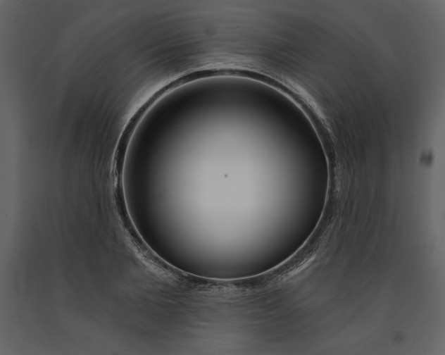 X0000090970885200708241313