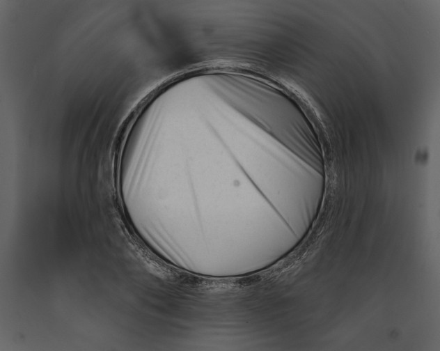 X0000090970886200708241313