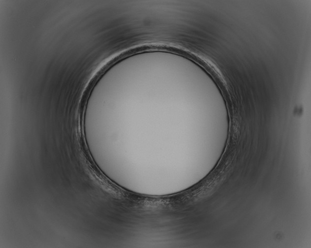 X0000090970887200708241313