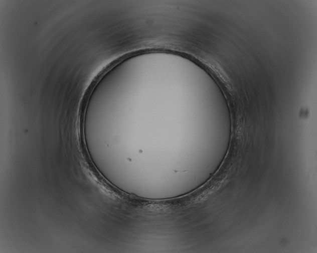 X0000090970888200708241313