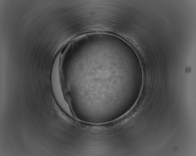 X0000090970889200708241313