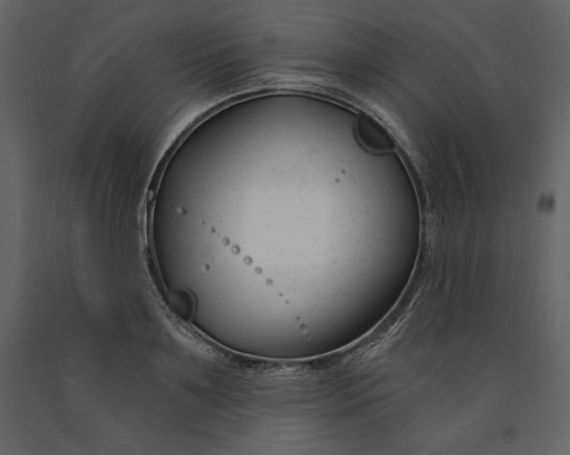 X0000090970891200708241313