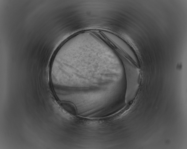 X0000090970892200708241313