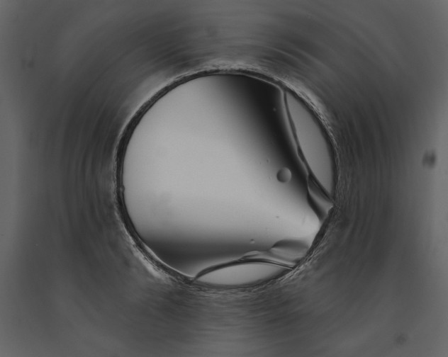 X0000090970894200708241313