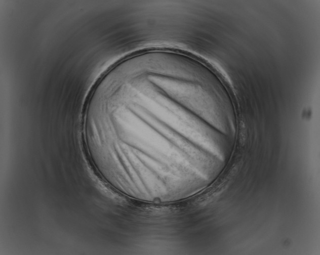 X0000090970895200708241313