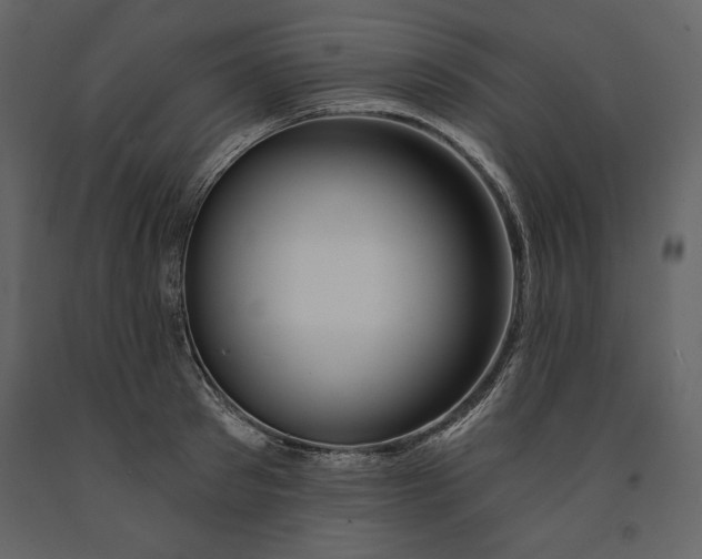 X0000090970897200708241313