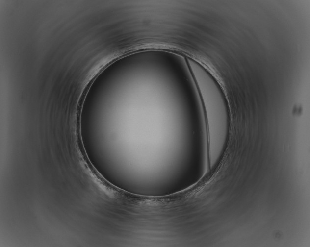 X0000090970898200708241313