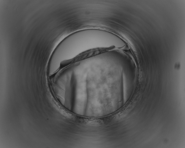 X0000090970899200708241313