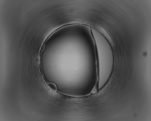 X0000090970900200708241312