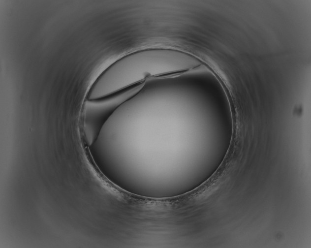 X0000090970901200708241312