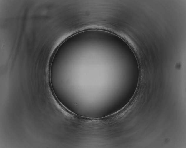 X0000090970902200708241312