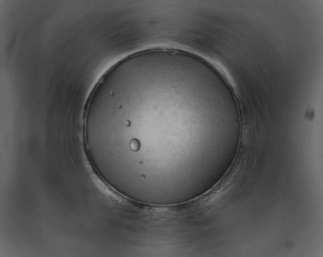 X0000090970903200708241312