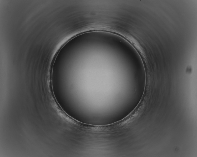 X0000090970904200708241312