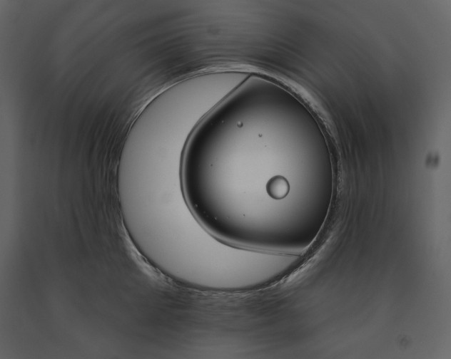 X0000090970905200708241312