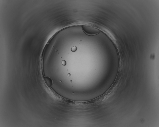 X0000090970907200708241312