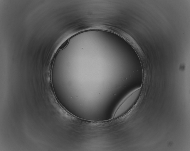 X0000090970908200708241312