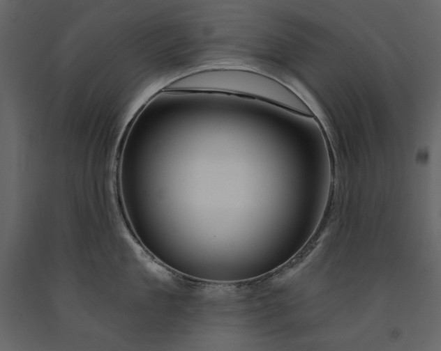 X0000090970909200708241312