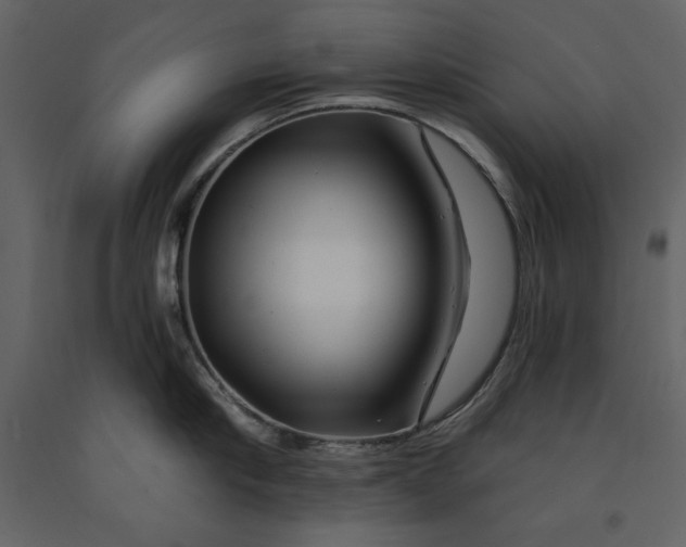 X0000090970910200708241312