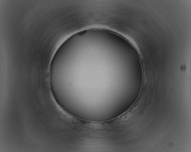 X0000090970911200708241312