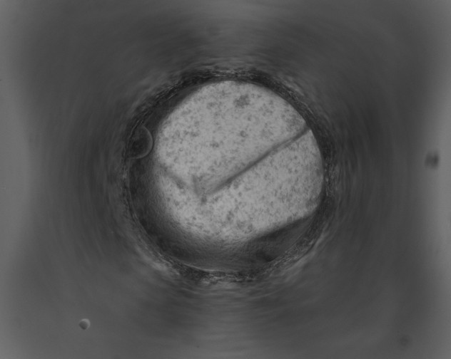 X0000090970913200708241312