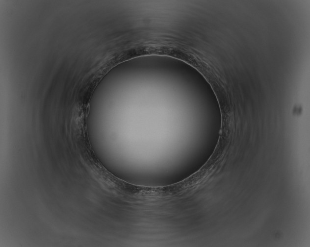 X0000090970914200708241312