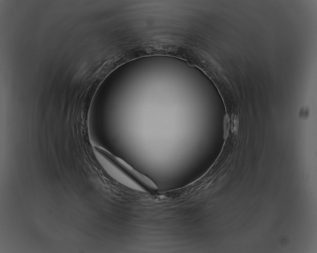 X0000090970915200708241312