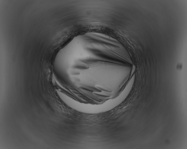 X0000090970916200708241312