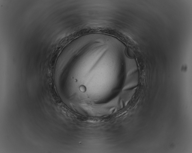 X0000090970917200708241312