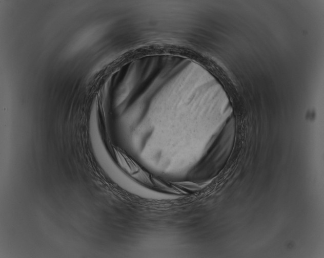 X0000090970919200708241312