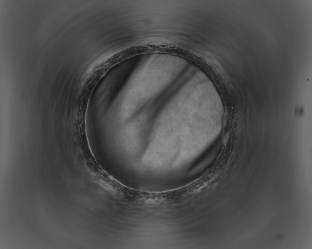 X0000090970920200708241312