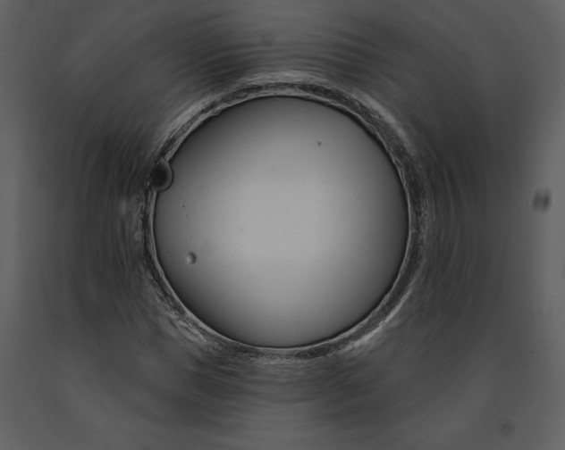 X0000090970921200708241312